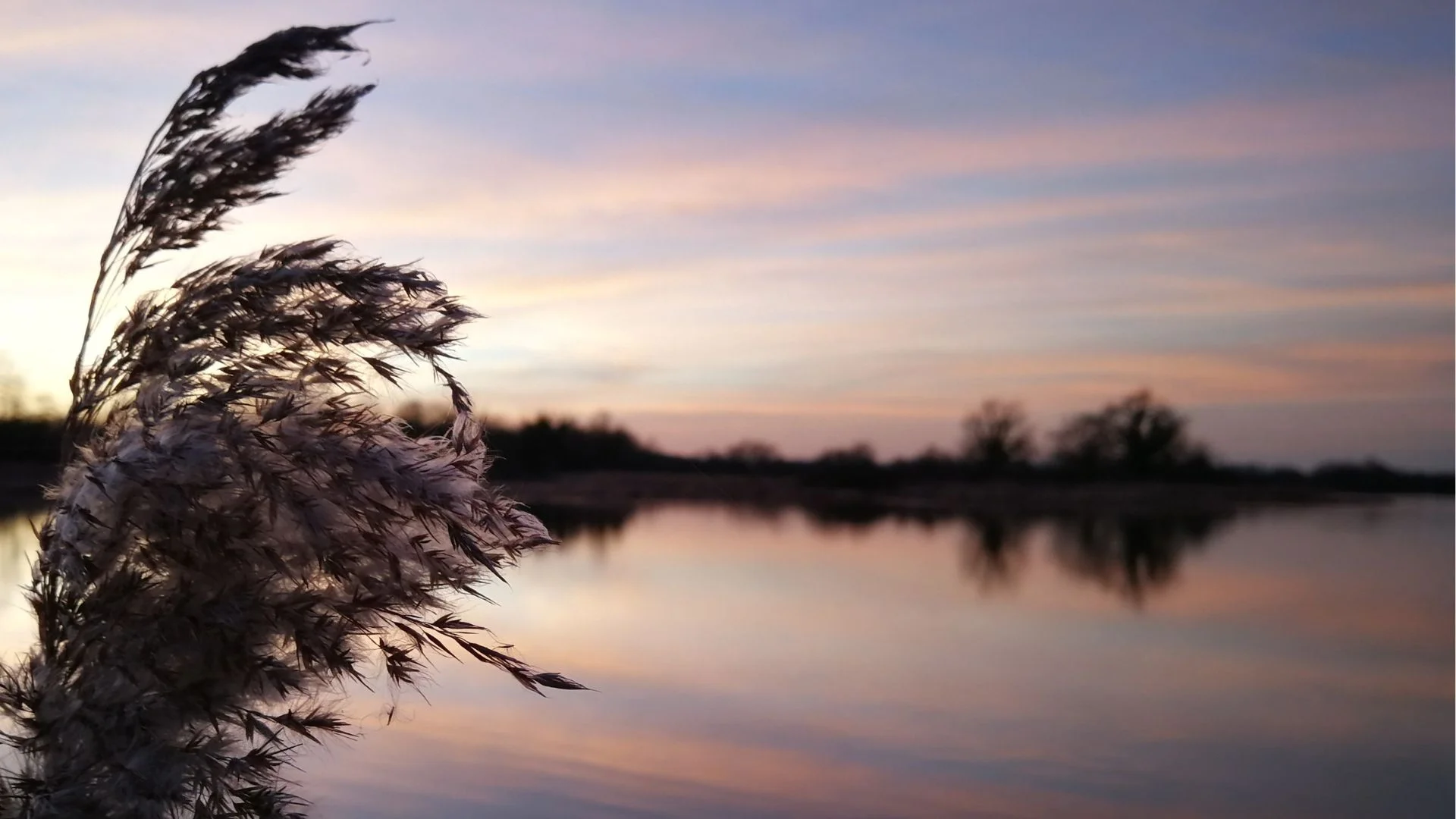 Coucher De Soleil