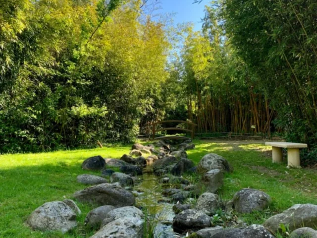 Les Jardins Aquatiques